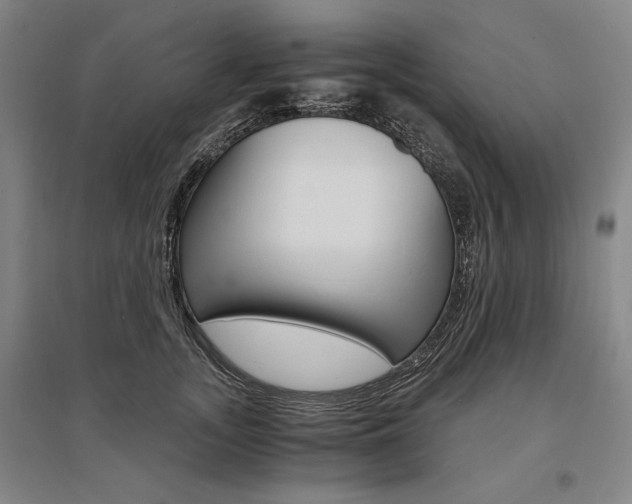 X0000095540755200712141023