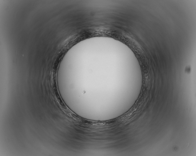 X0000095540757200712141023