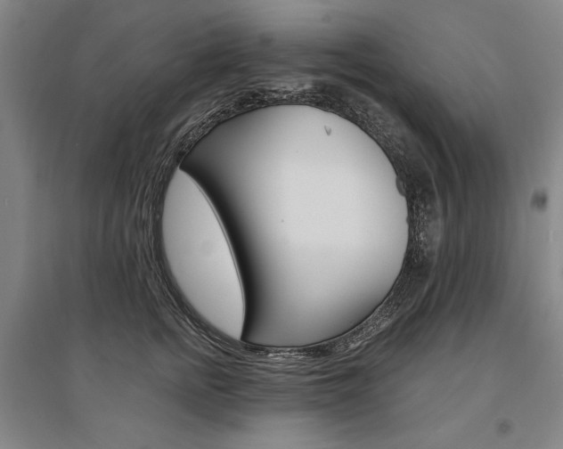 X0000095540758200712141024