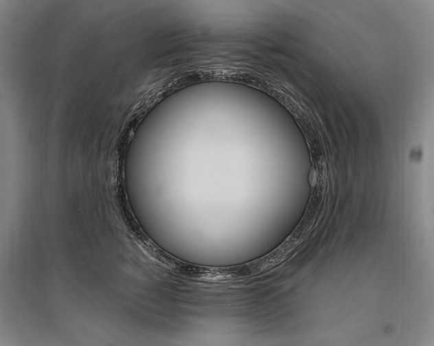 X0000095540760200712141024
