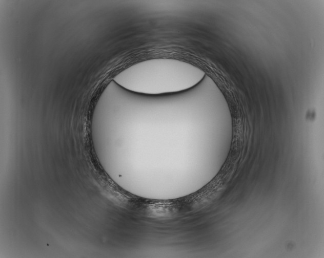 X0000095540761200712141024