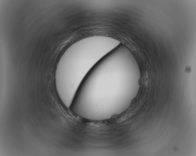 X0000095540763200712141024