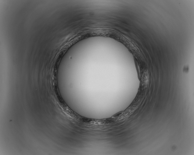 X0000095540764200712141024