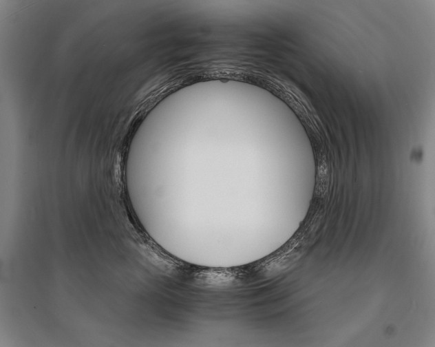 X0000095540765200712141024