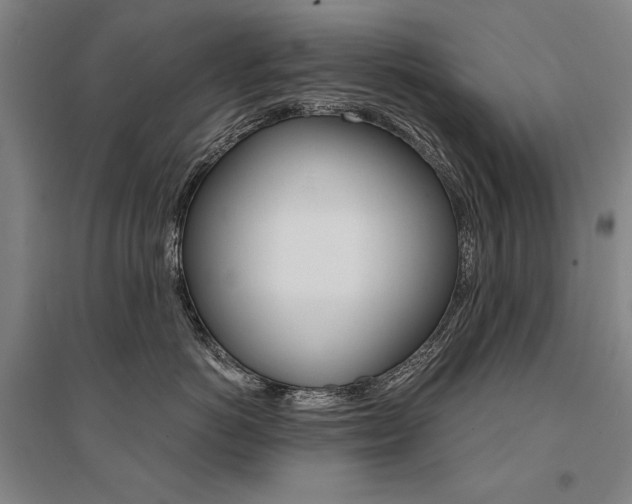 X0000095540766200712141024