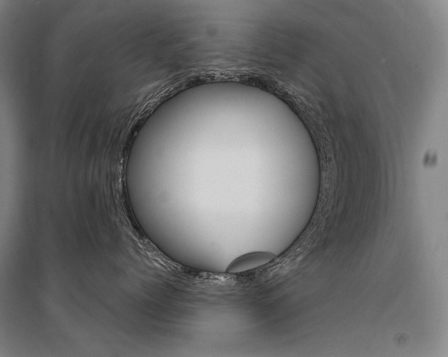 X0000095540768200712141024