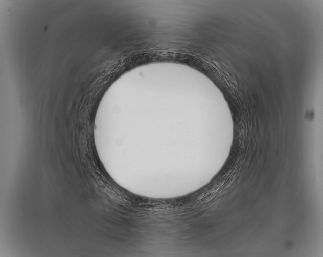 X0000095540769200712141023