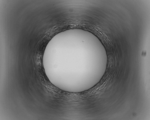 X0000095540770200712141023