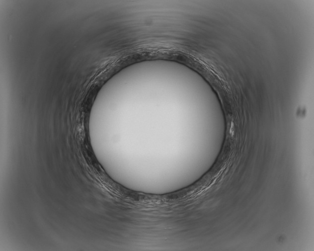 X0000095540771200712141023