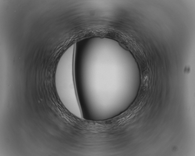X0000095540772200712141023