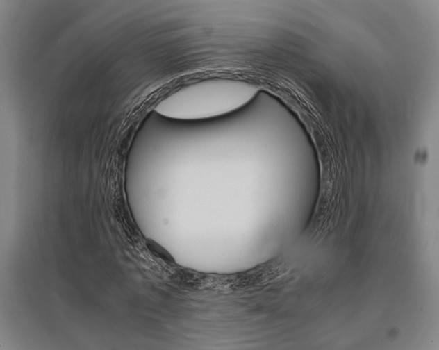 X0000095540773200712141023