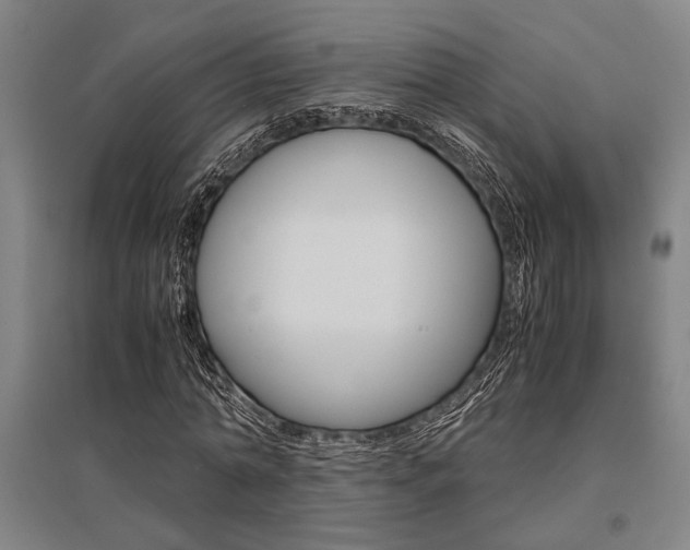 X0000095540774200712141023