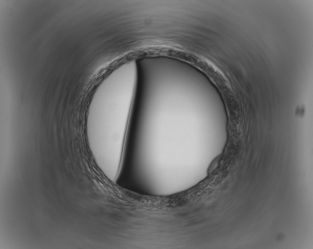 X0000095540775200712141023