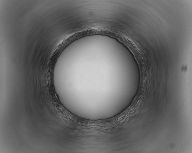 X0000095540776200712141023