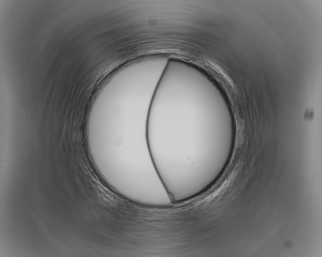 X0000095540777200712141023