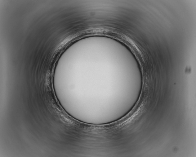X0000095540778200712141023