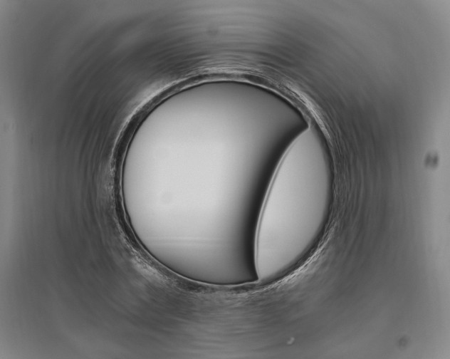 X0000095540779200712141023
