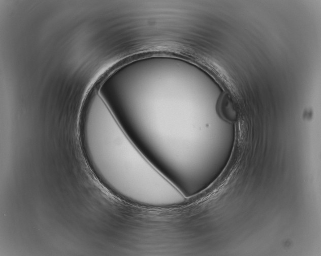 X0000095540780200712141023