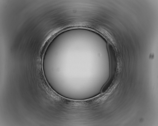 X0000095540781200712141023
