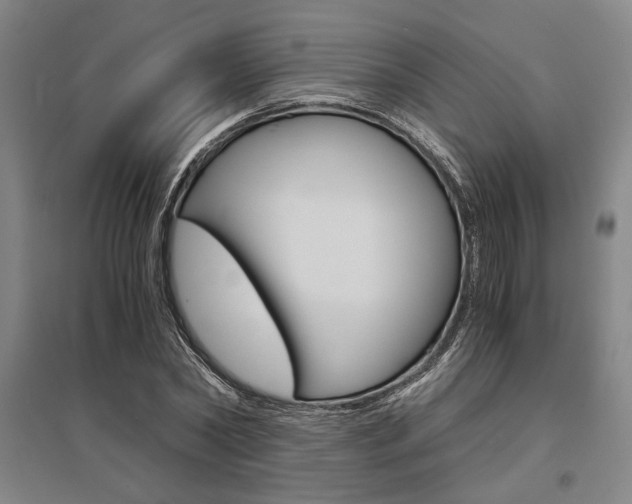 X0000095540782200712141023