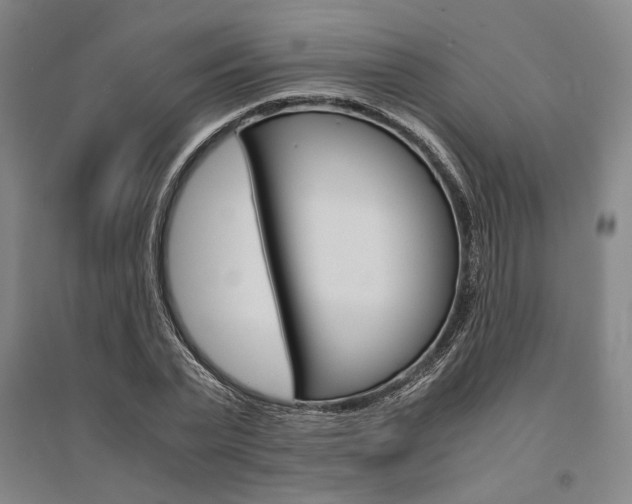 X0000095540783200712141023