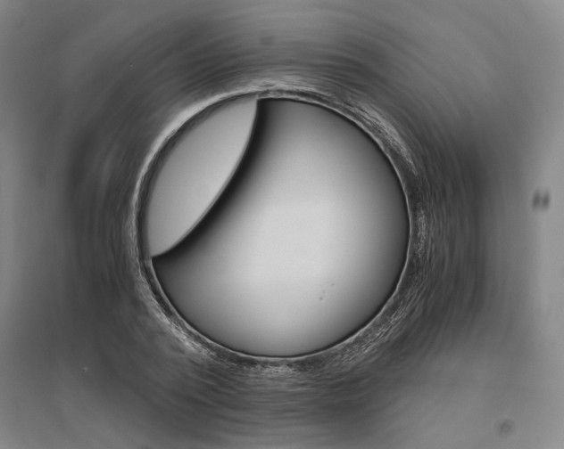 X0000095540784200712141023