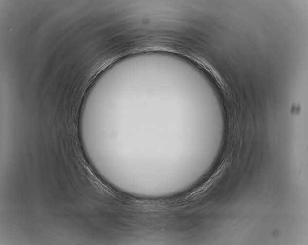 X0000095540785200712141023