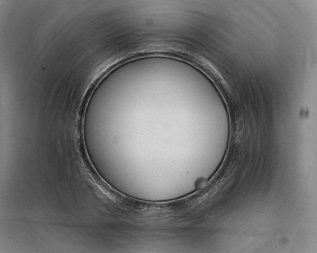 X0000095540786200712141023