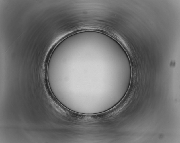 X0000095540787200712141023