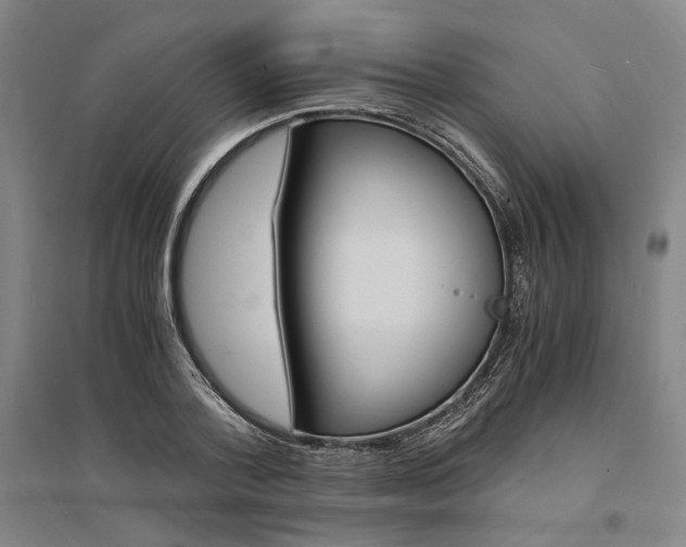 X0000095540788200712141023