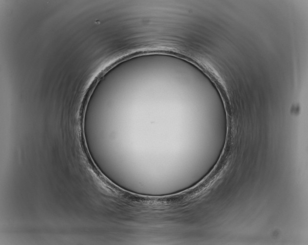 X0000095540789200712141023