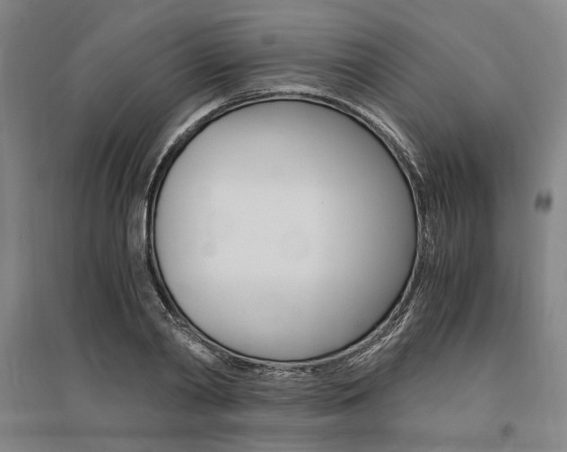 X0000095540790200712141023