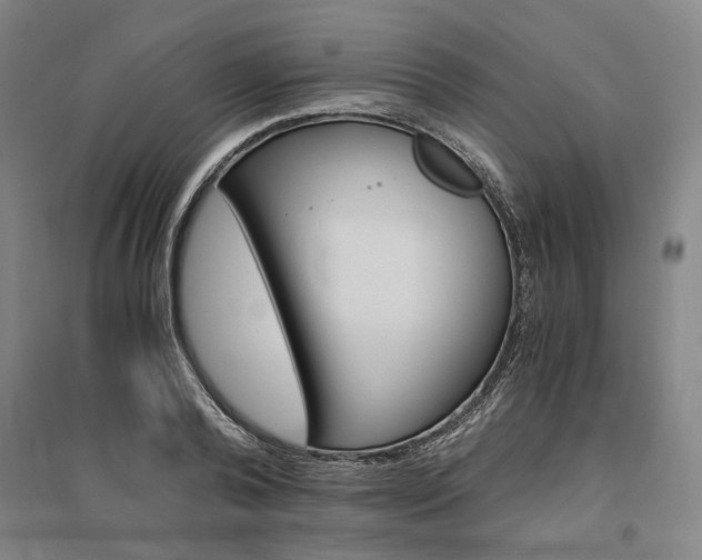 X0000095540792200712141022
