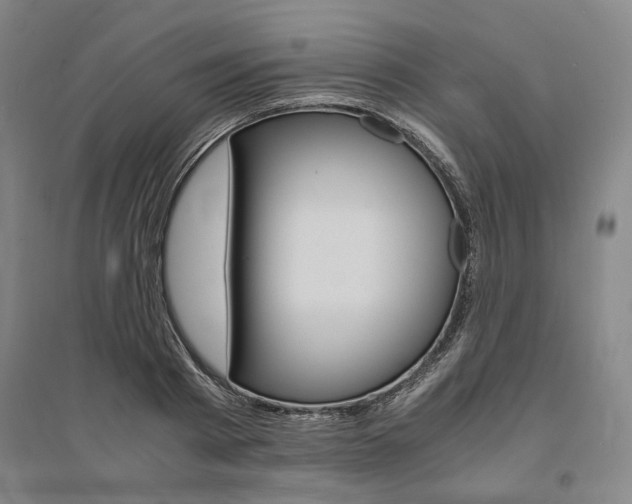 X0000095540793200712141022