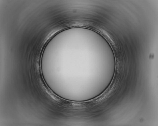 X0000095540794200712141022
