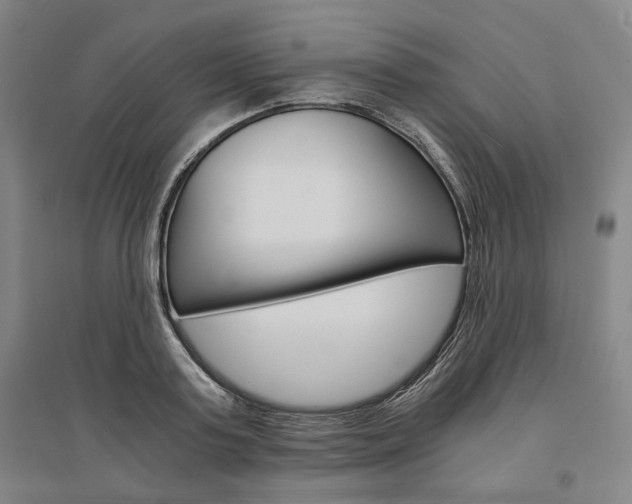 X0000095540795200712141022
