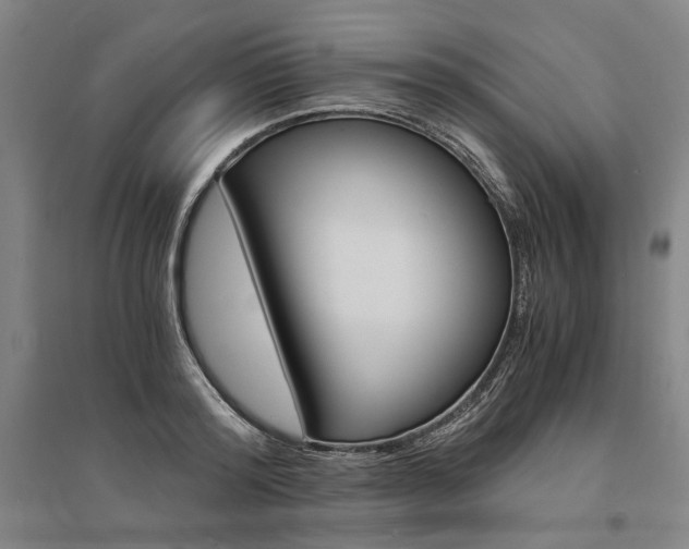 X0000095540796200712141022