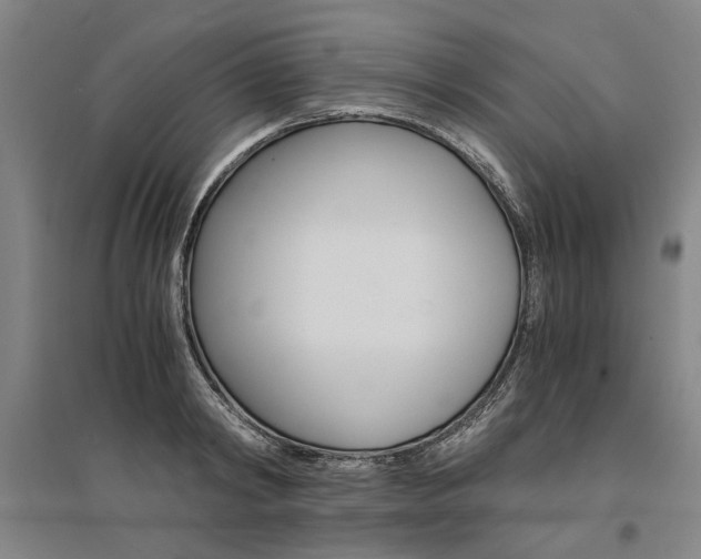 X0000095540798200712141022
