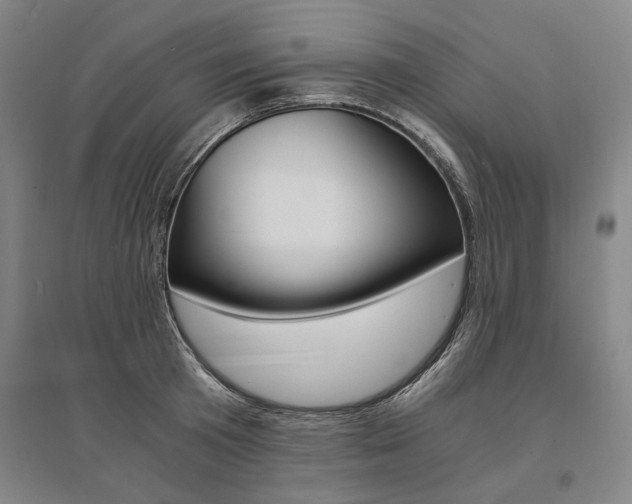 X0000095540801200712141022
