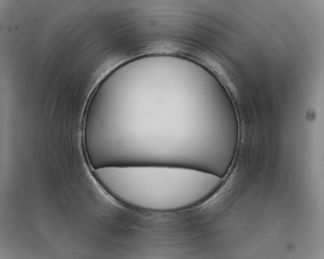 X0000095540802200712141022