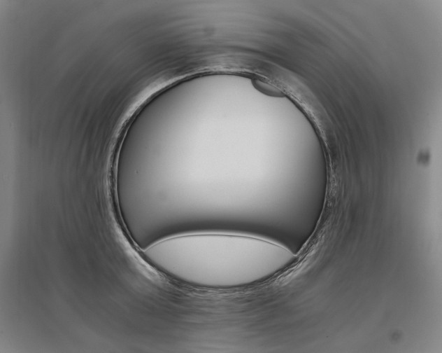 X0000095540803200712141022
