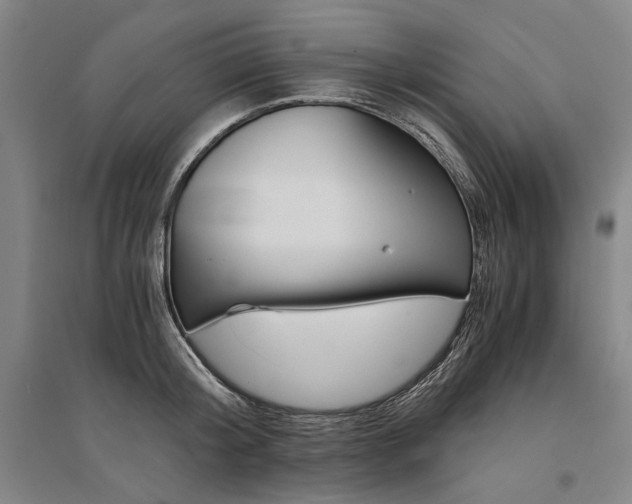 X0000095540804200712141022