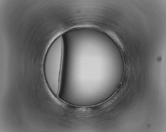 X0000095540805200712141022