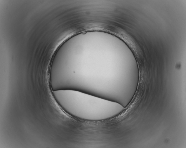 X0000095540806200712141022