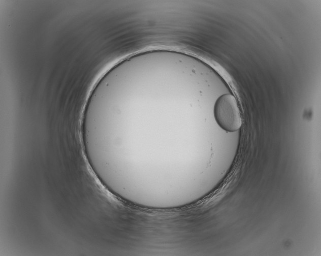 X0000095540807200712141022