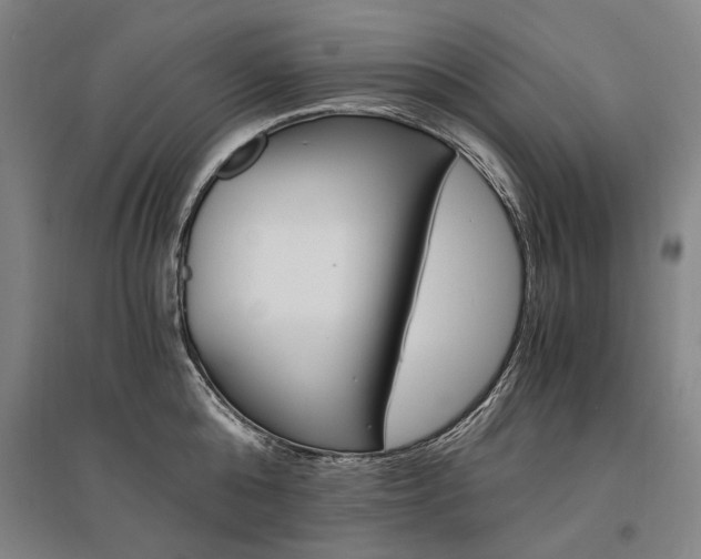 X0000095540808200712141022