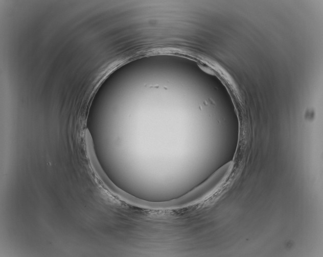 X0000095540809200712141022