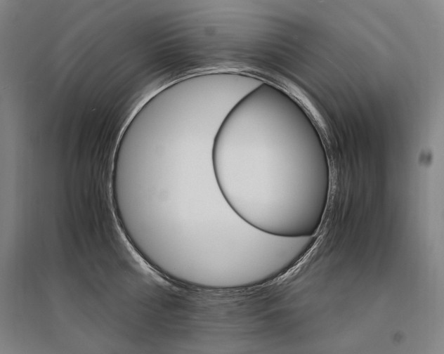 X0000095540810200712141022