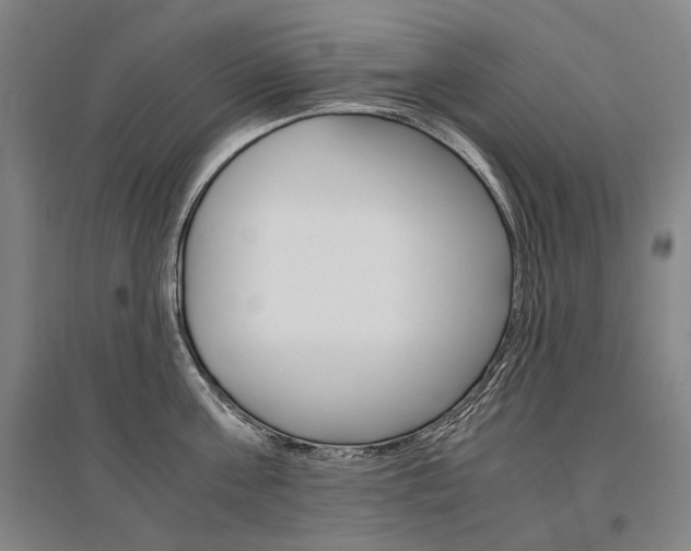 X0000095540811200712141022