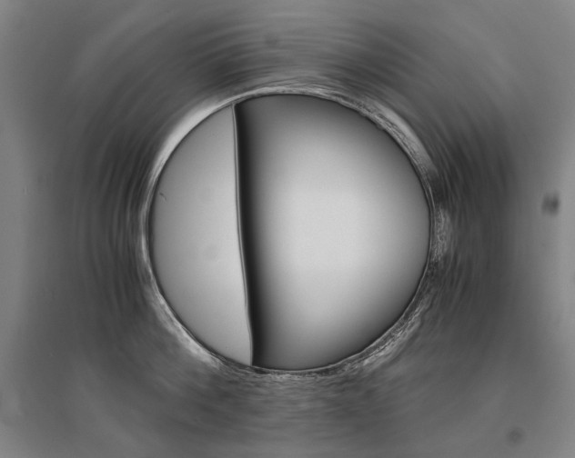 X0000095540812200712141022